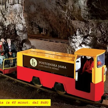 Al Vecchio Glicine Bed & Breakfast *