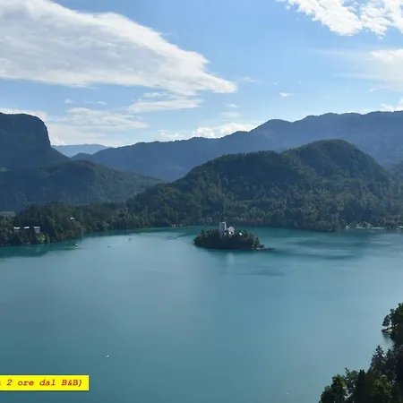 Bed & Breakfast Al Vecchio Glicine Gábria